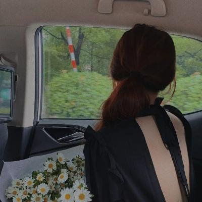 仙乐美人