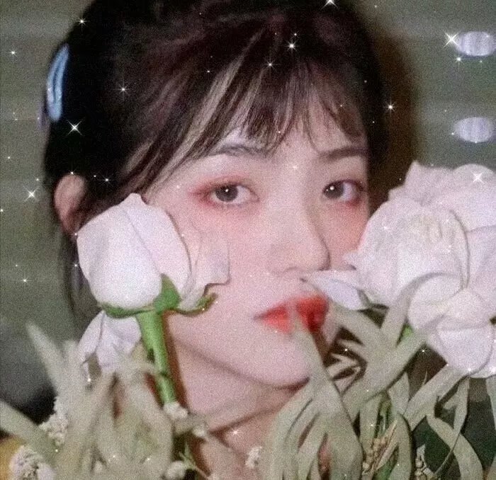 风和日丽