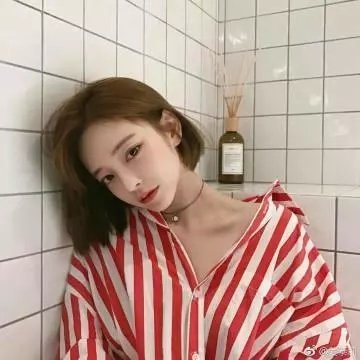 哈吉布基的森林冒险